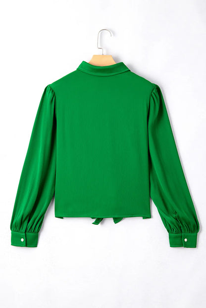 Aura Stylo - Tied Collared Neck Long Sleeve Shirt