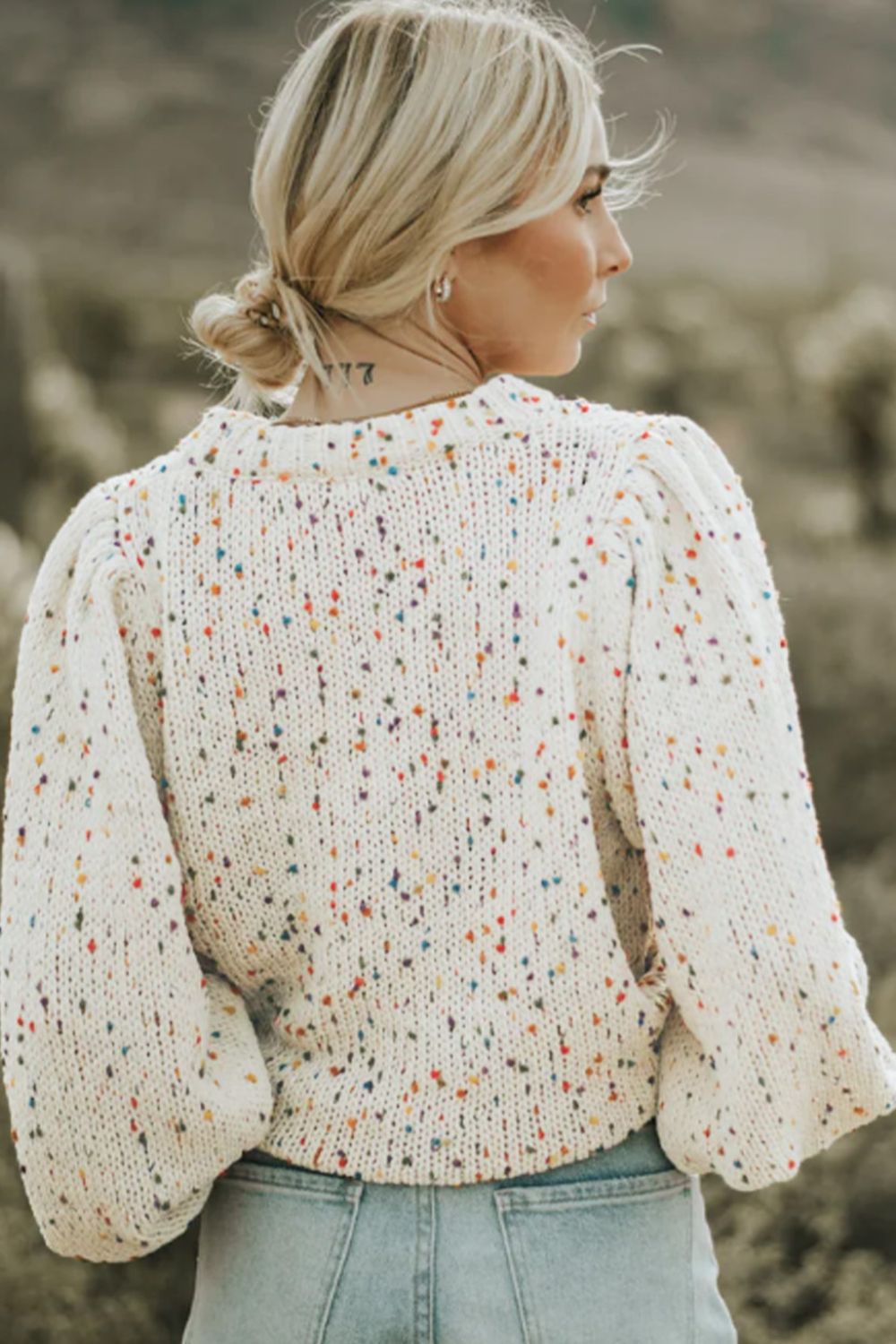 Aura Stylo - Confetti Round Neck Long Sleeve Sweater